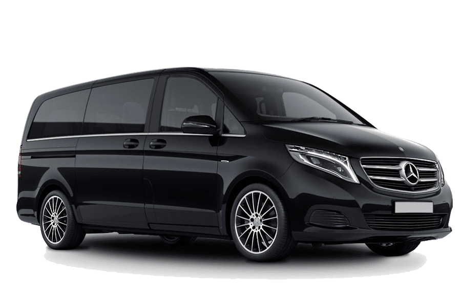 Mercedes Viano